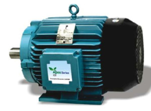 crompton greaves electric motors,crompton greeves Energy Efficient motors ,electric motor dealers Mumbai 